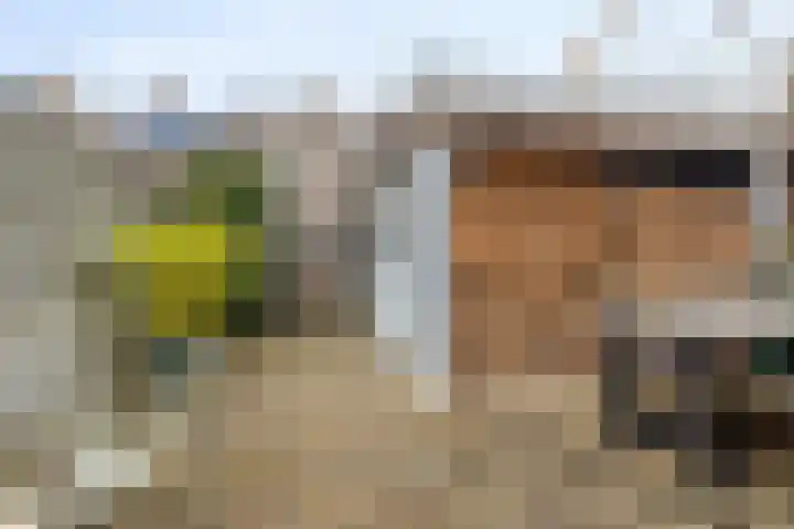 Houtzaagmolensingel 81 Bovenkarspel thumbnail 38