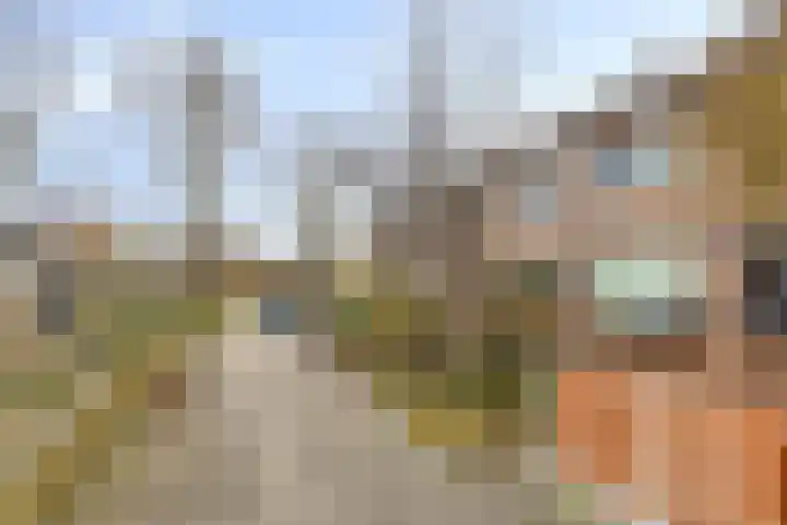 Houtzaagmolensingel 81 Bovenkarspel thumbnail 43