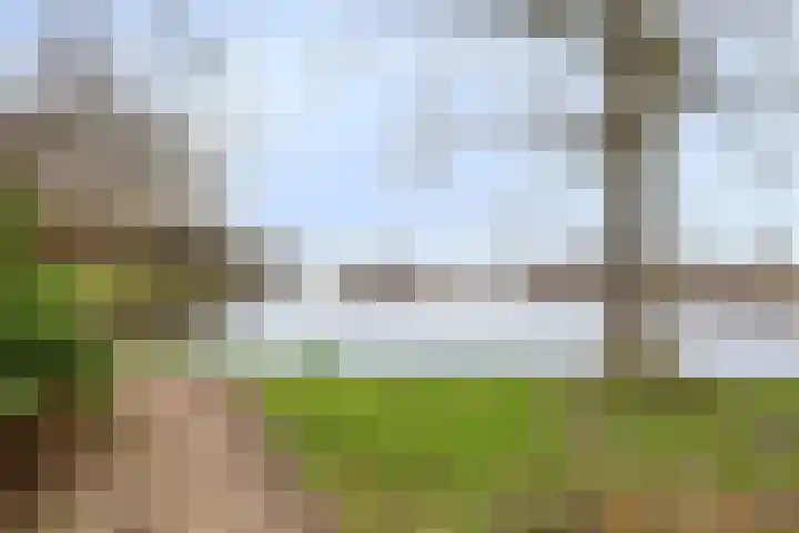 Houtzaagmolensingel 81 Bovenkarspel thumbnail 45