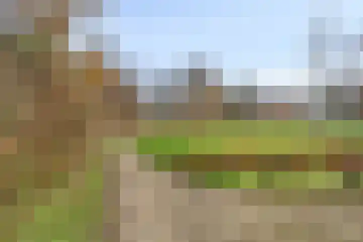 Houtzaagmolensingel 81 Bovenkarspel thumbnail 46