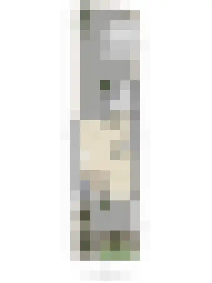 Houtzaagmolensingel 81 Bovenkarspel thumbnail 47