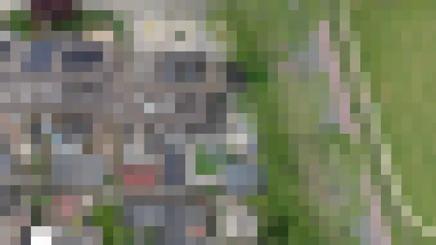 Houtzaagmolensingel 85 Bovenkarspel thumbnail 100