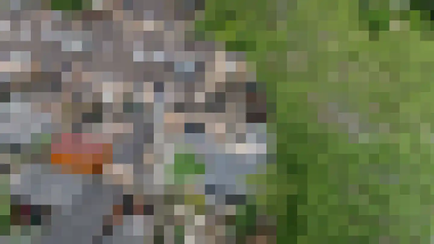 Houtzaagmolensingel 85 Bovenkarspel thumbnail 101