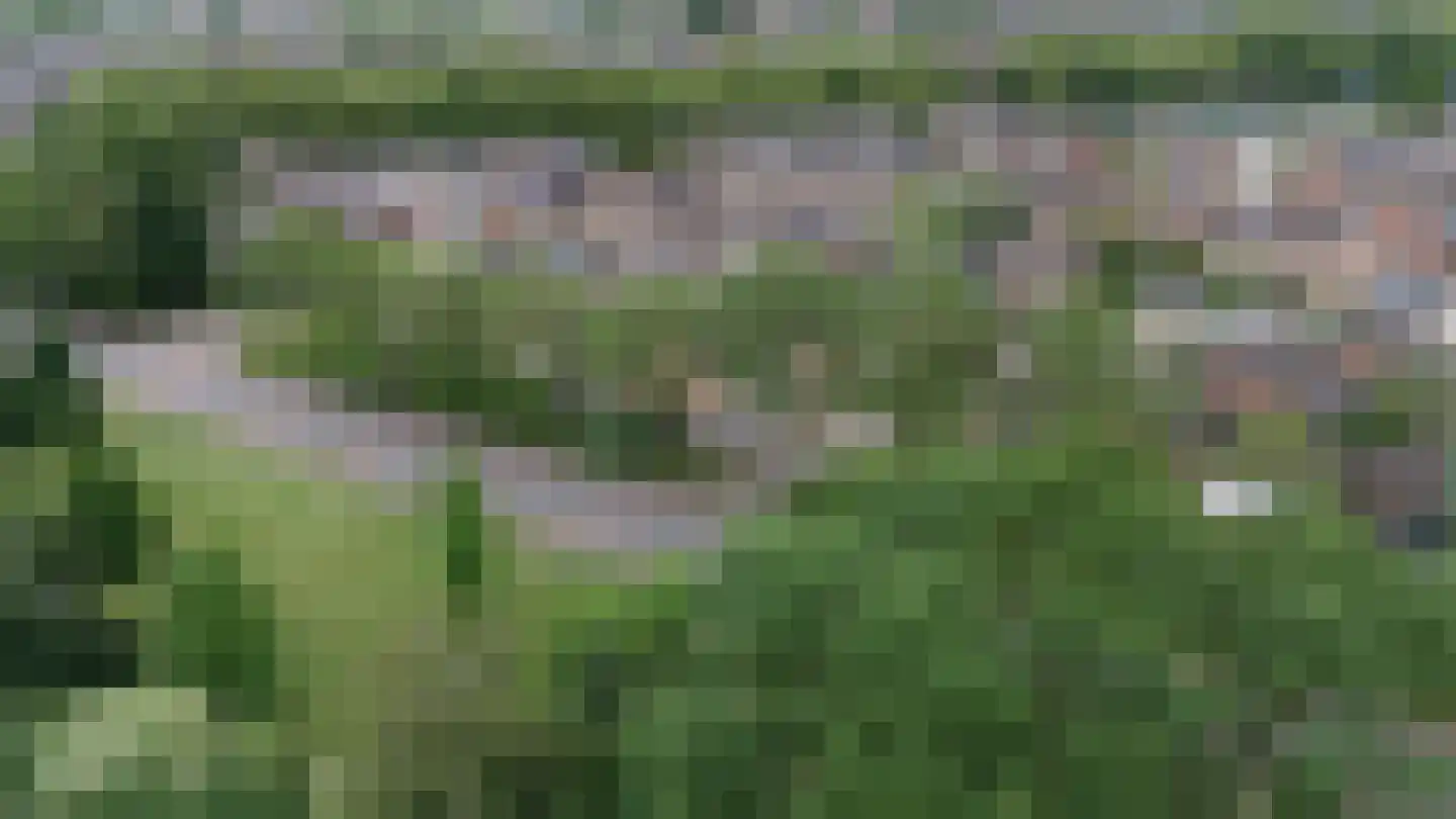 Houtzaagmolensingel 85 Bovenkarspel thumbnail 106