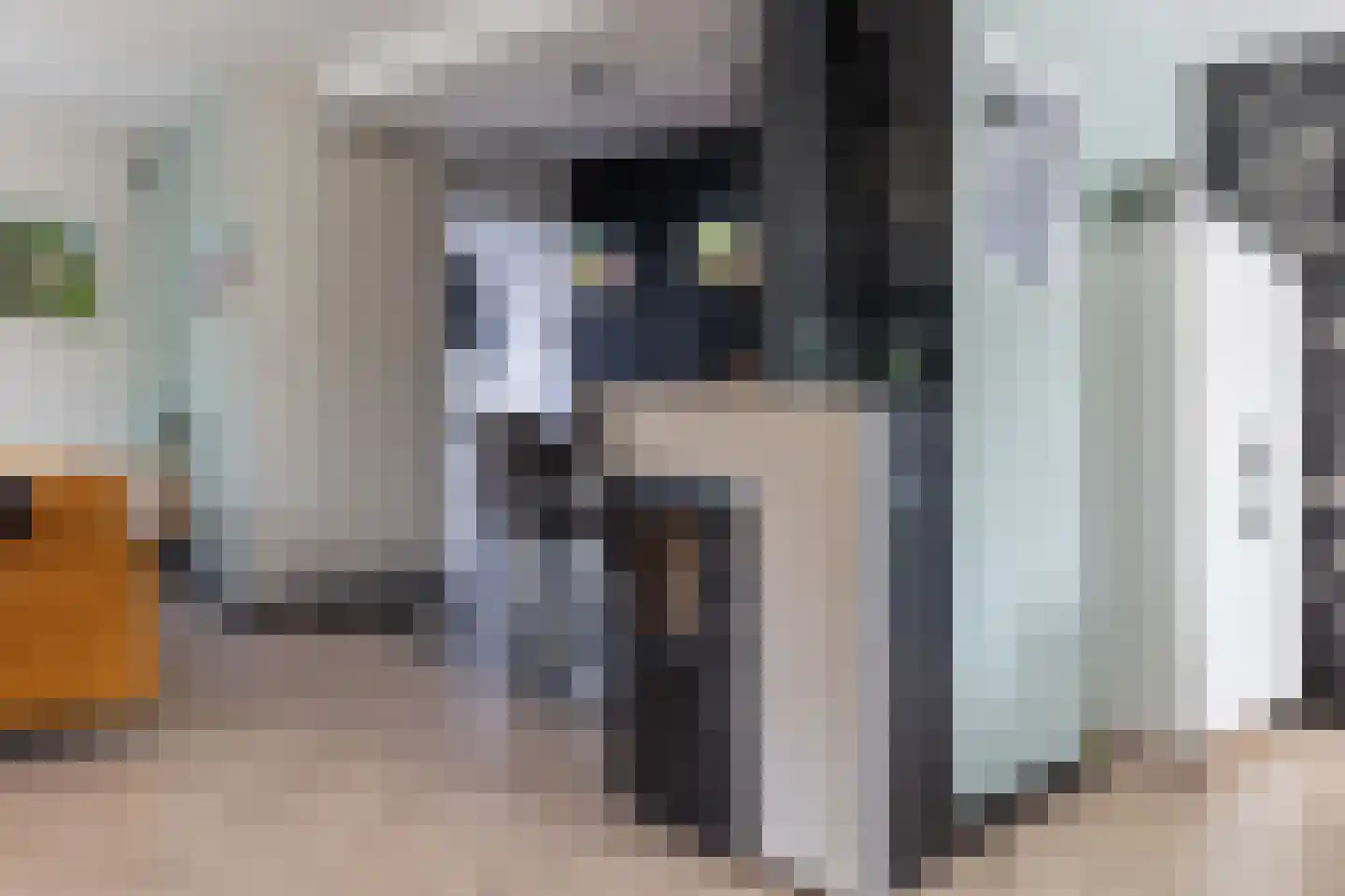 Houtzaagmolensingel 85 Bovenkarspel thumbnail 25