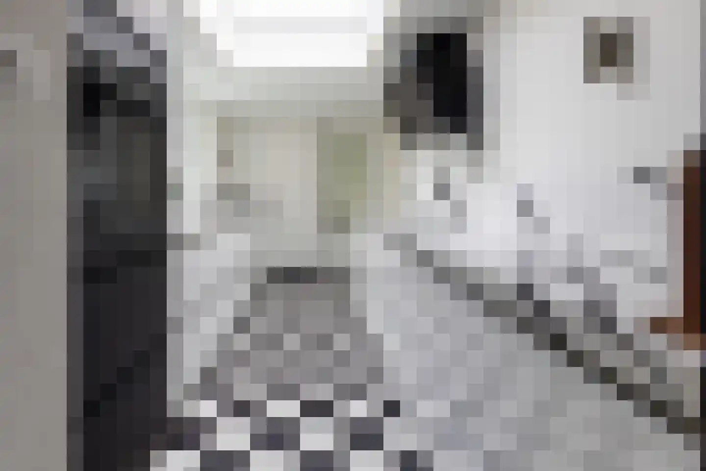 Houtzaagmolensingel 85 Bovenkarspel thumbnail 32