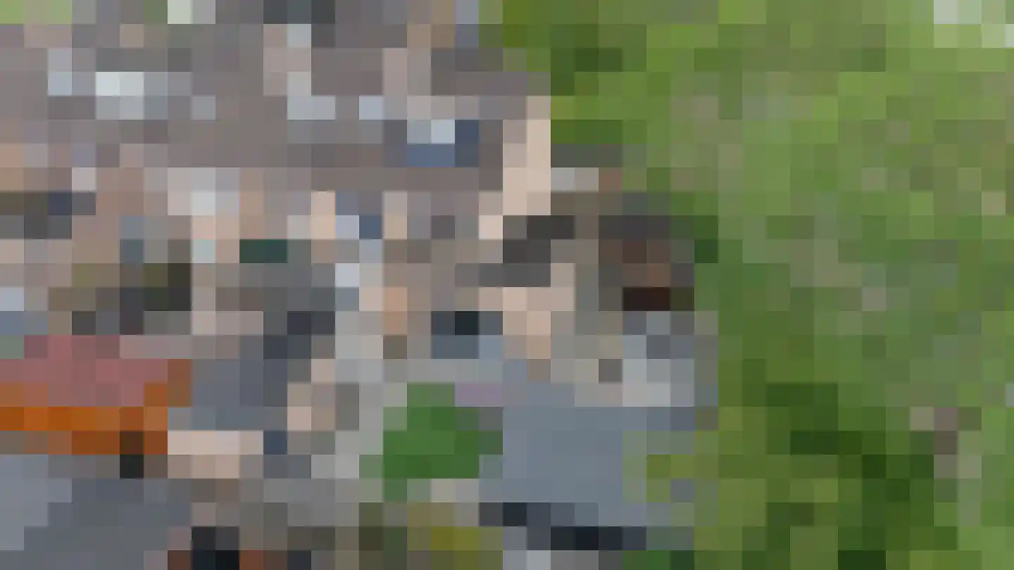 Houtzaagmolensingel 85 Bovenkarspel thumbnail 7
