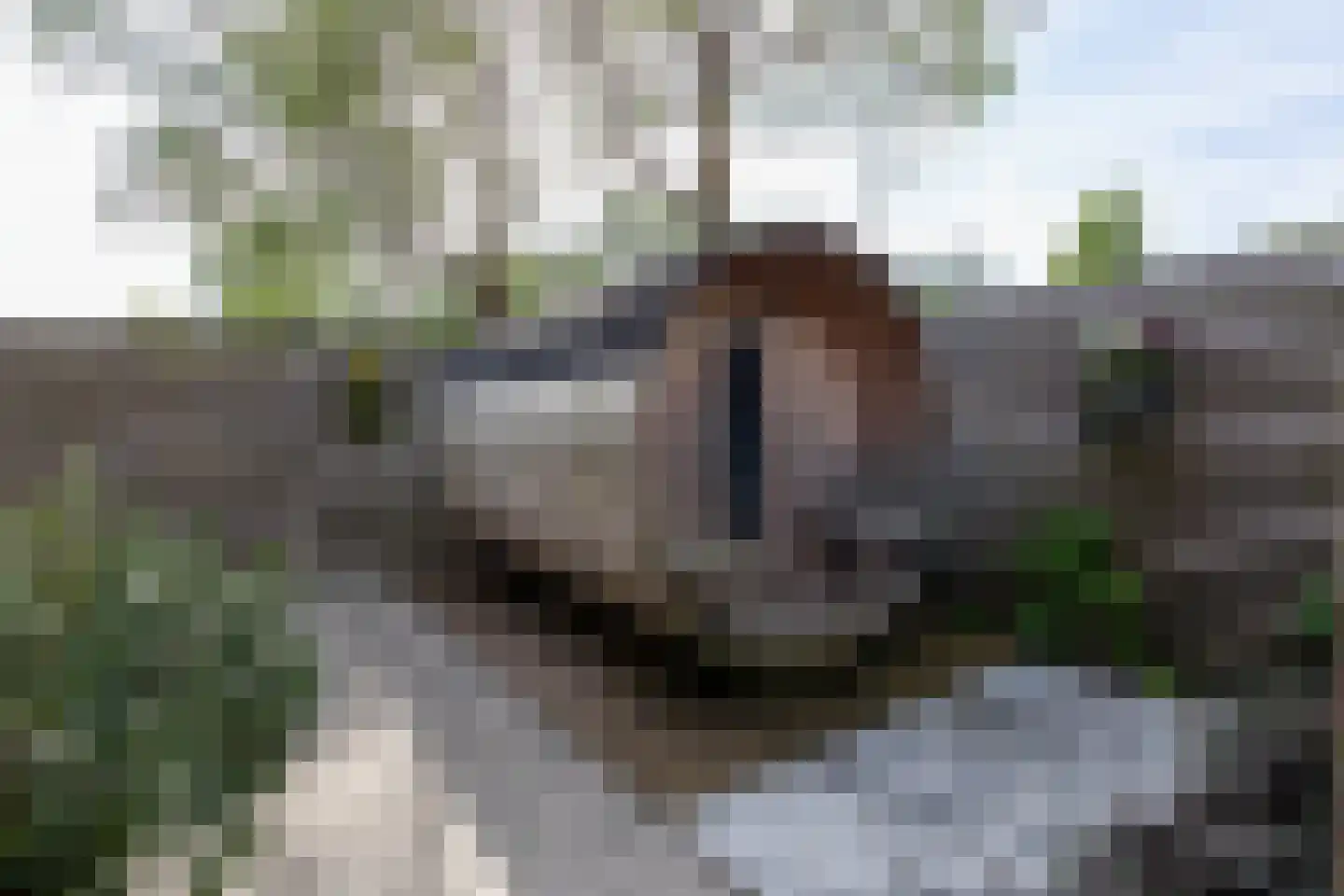 Houtzaagmolensingel 85 Bovenkarspel thumbnail 71