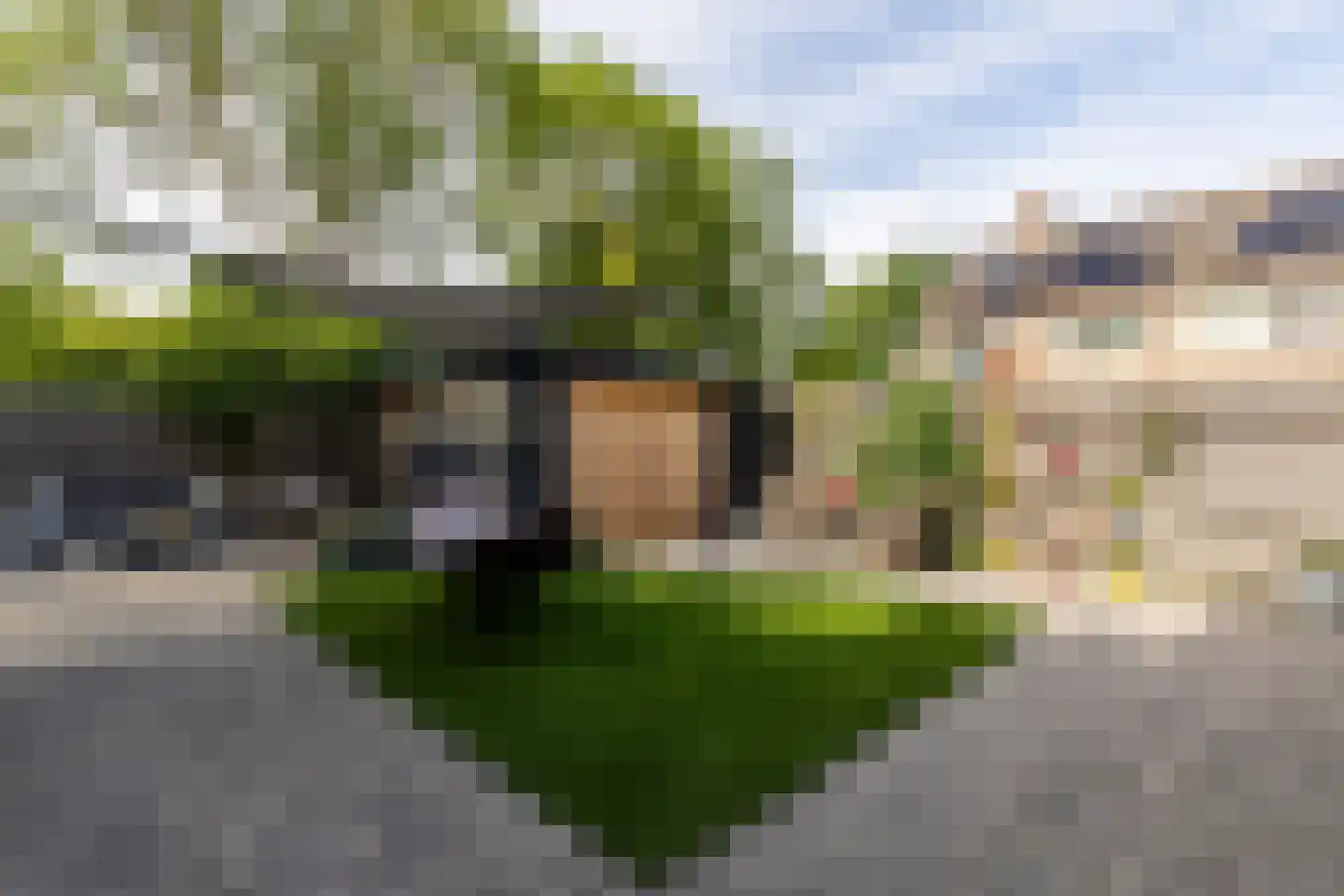 Houtzaagmolensingel 85 Bovenkarspel thumbnail 73