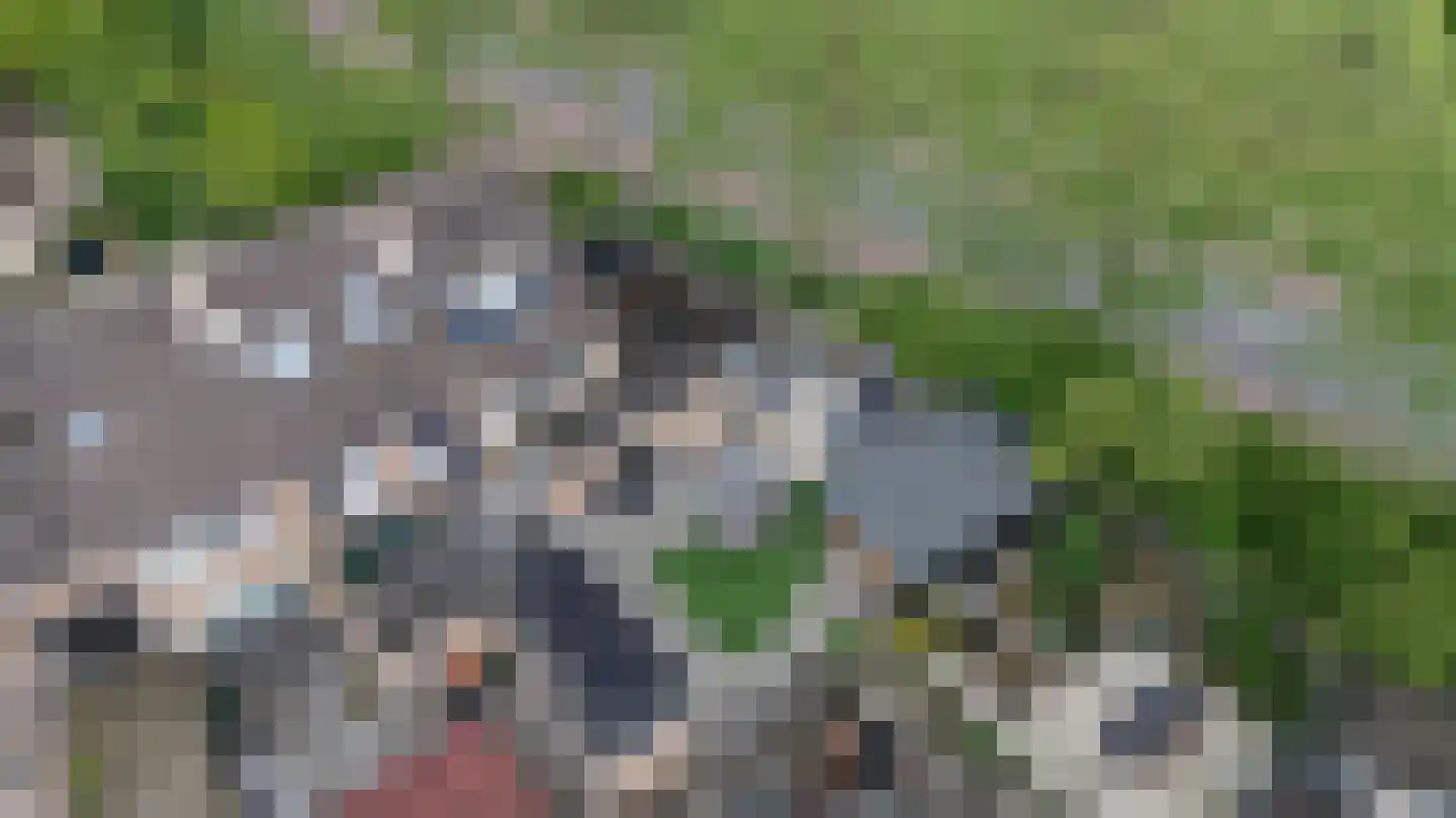 Houtzaagmolensingel 85 Bovenkarspel thumbnail 86