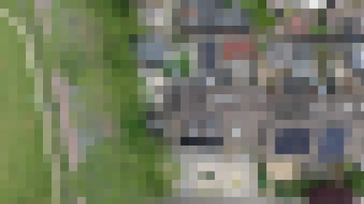 Houtzaagmolensingel 85 Bovenkarspel thumbnail 96