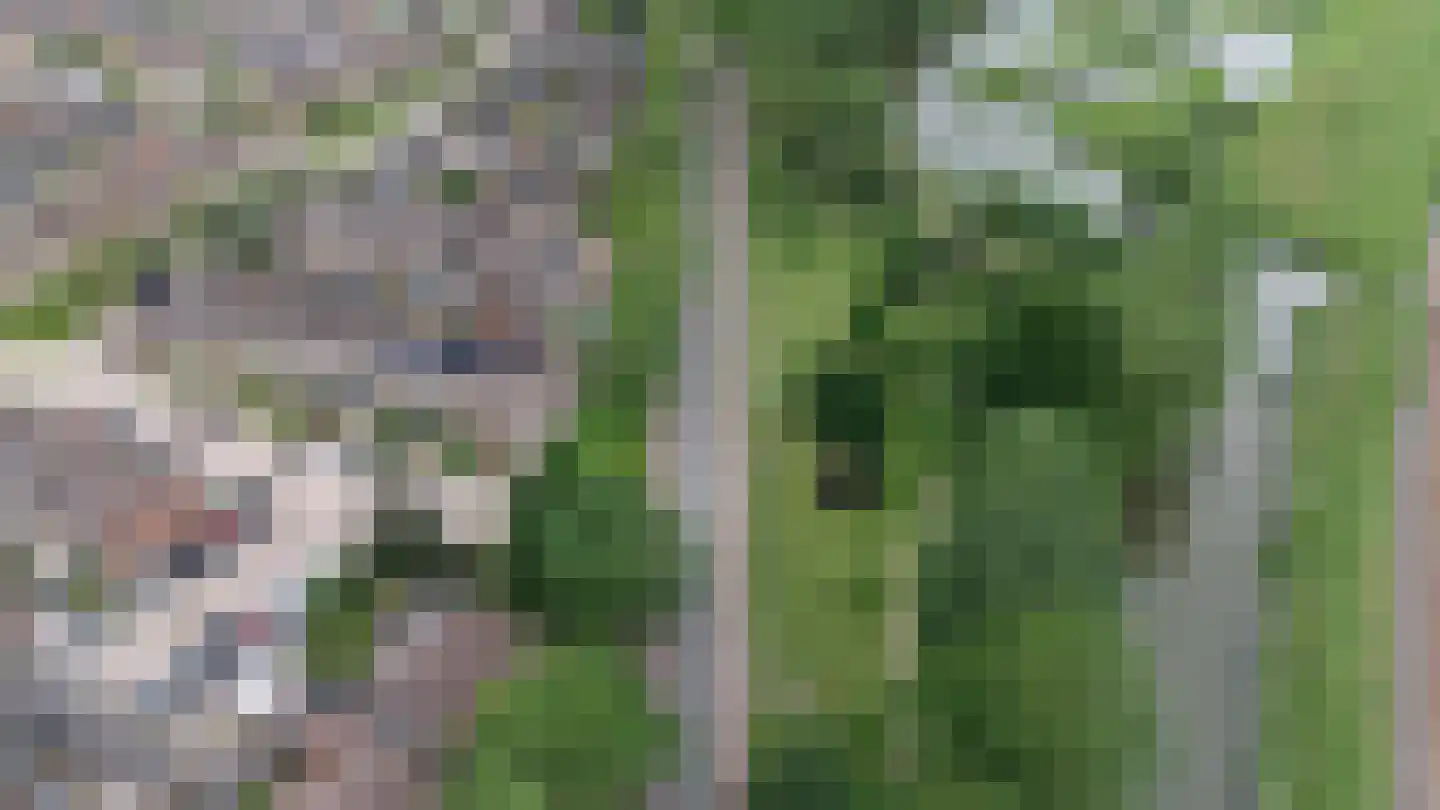 Houtzaagmolensingel 85 Bovenkarspel thumbnail 98