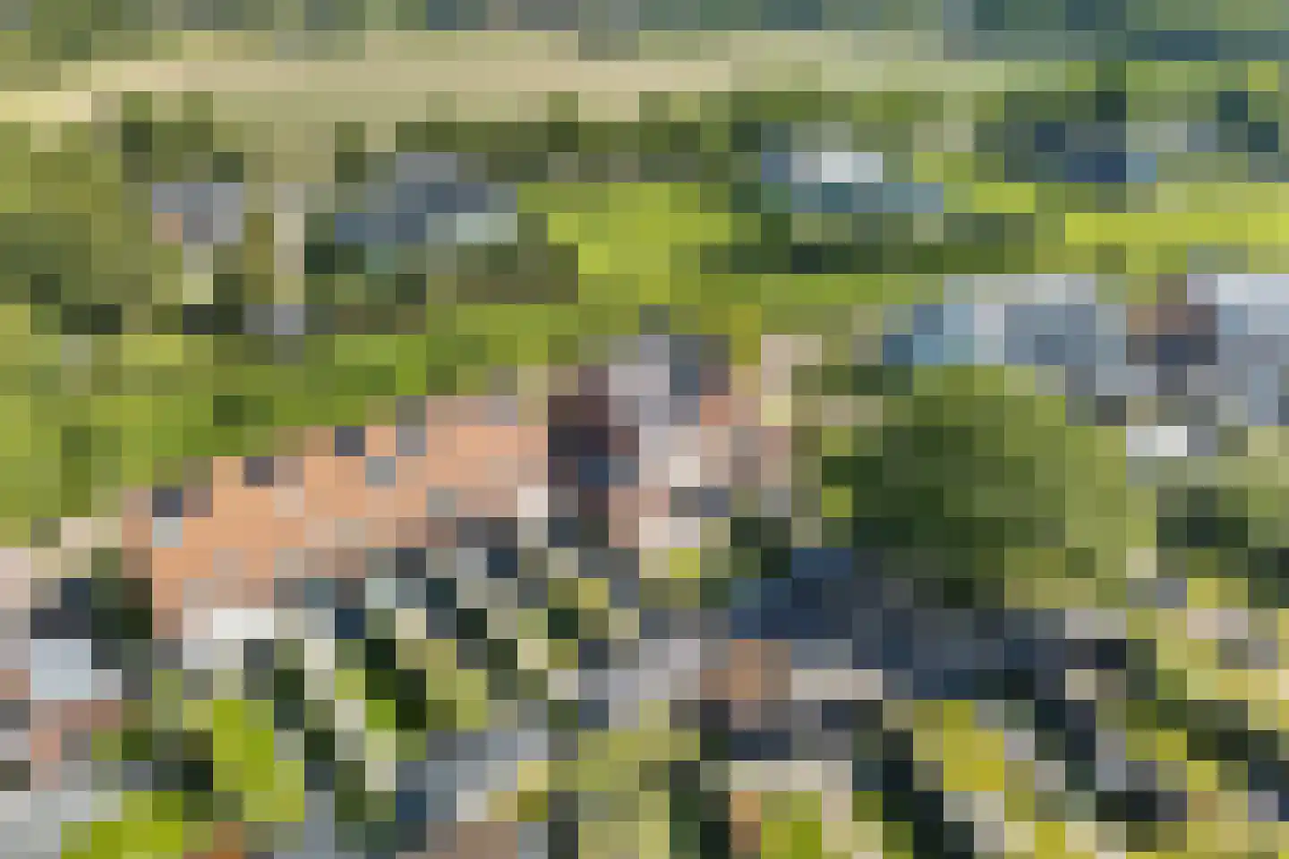 Houtzager 28 Wijchen thumbnail 13