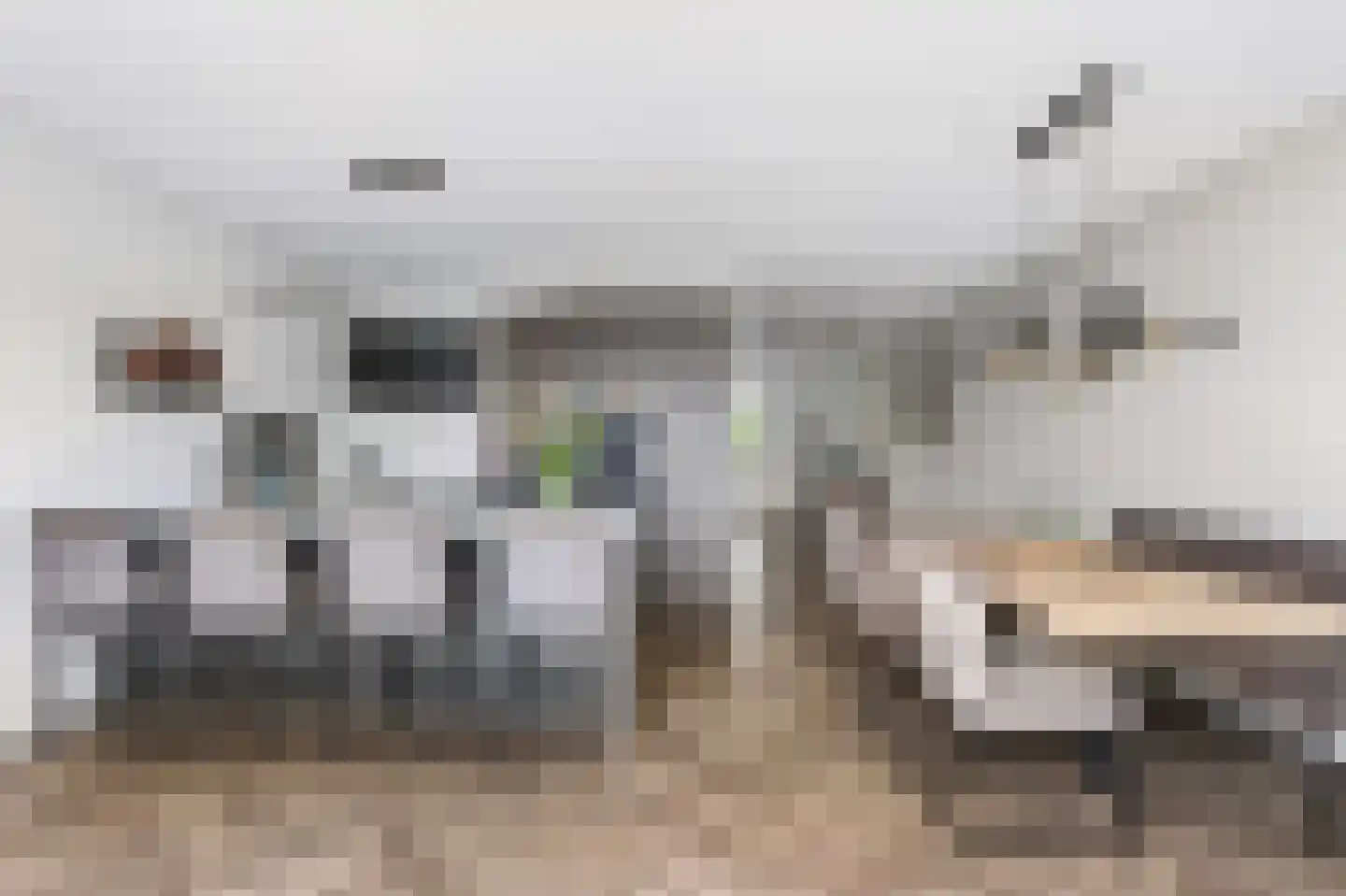 Houtzager 28 Wijchen thumbnail 7