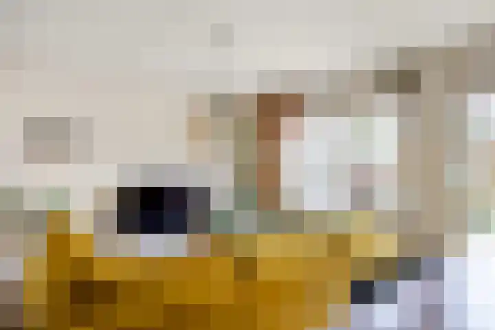 Houtzagerij 10 Winsum thumbnail 15