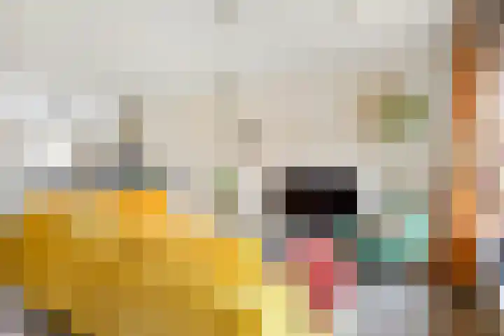 Houtzagerij 10 Winsum thumbnail 17
