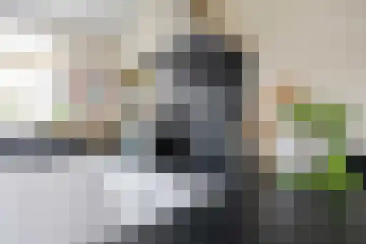Houtzagerij 10 Winsum thumbnail 24