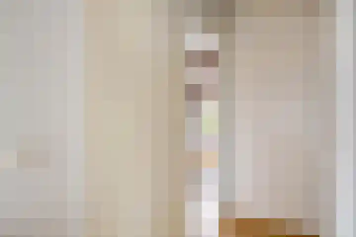 Houtzagerij 10 Winsum thumbnail 29