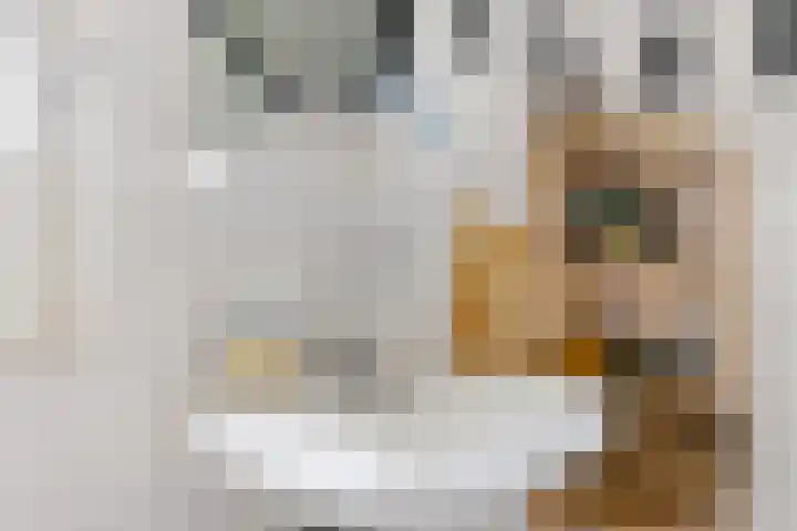 Houtzagerij 10 Winsum thumbnail 37
