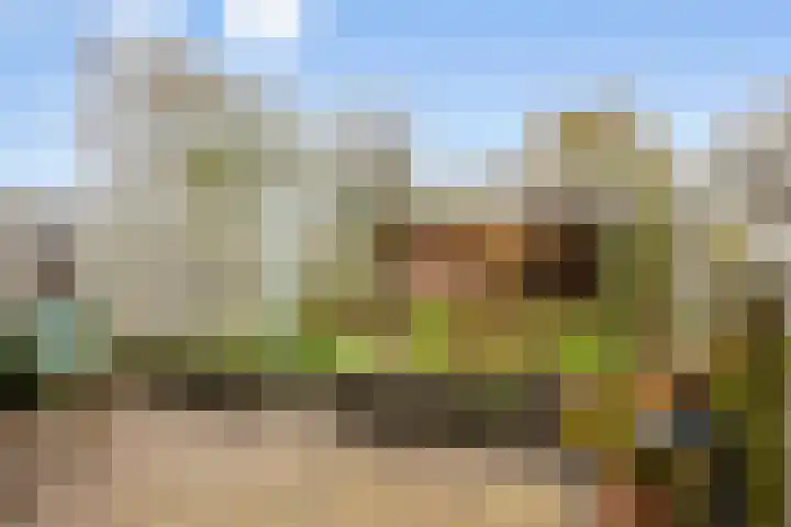 Houtzagerij 10 Winsum thumbnail 40