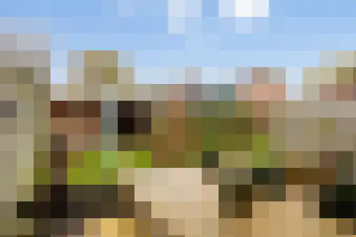Houtzagerij 10 Winsum thumbnail 41
