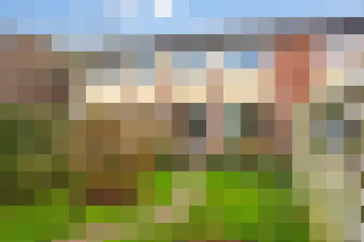 Houtzagerij 10 Winsum thumbnail 42