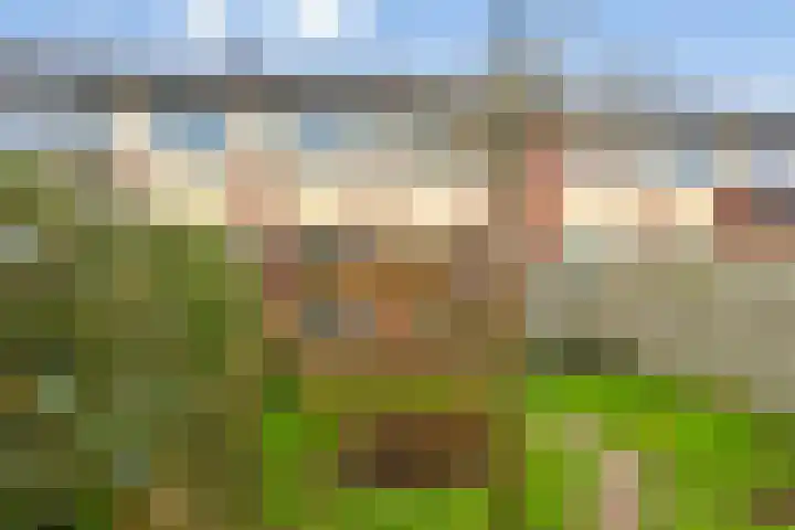 Houtzagerij 10 Winsum thumbnail 43