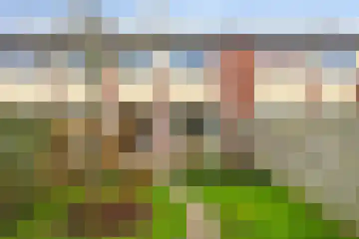 Houtzagerij 10 Winsum thumbnail 44
