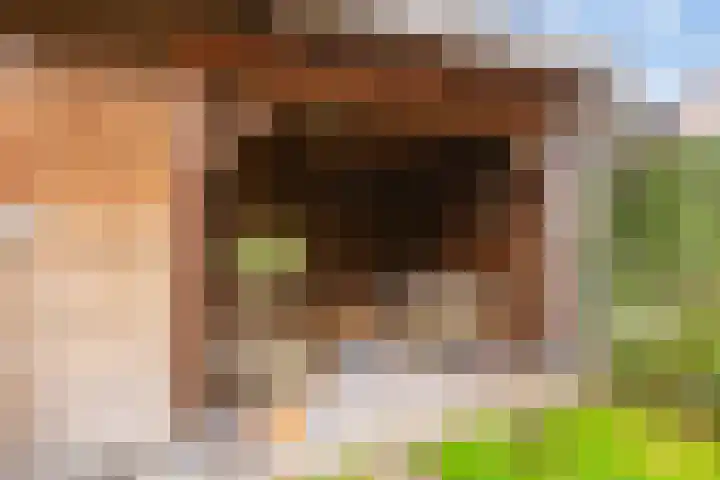 Houtzagerij 10 Winsum thumbnail 45