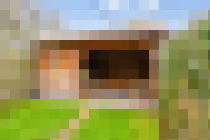 Houtzagerij 10 Winsum thumbnail 46