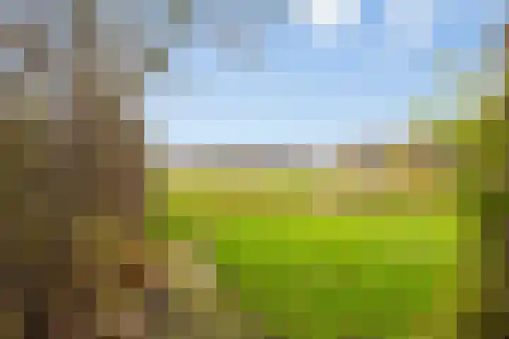 Houtzagerij 10 Winsum thumbnail 48