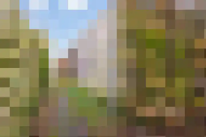 Houtzagerij 10 Winsum thumbnail 49