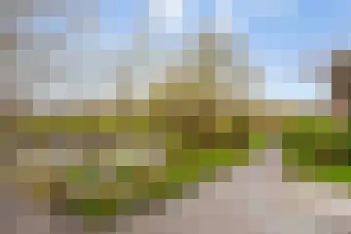 Houtzagerij 10 Winsum thumbnail 50