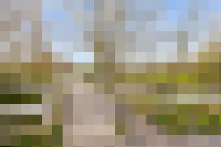 Houtzagerij 10 Winsum thumbnail 51
