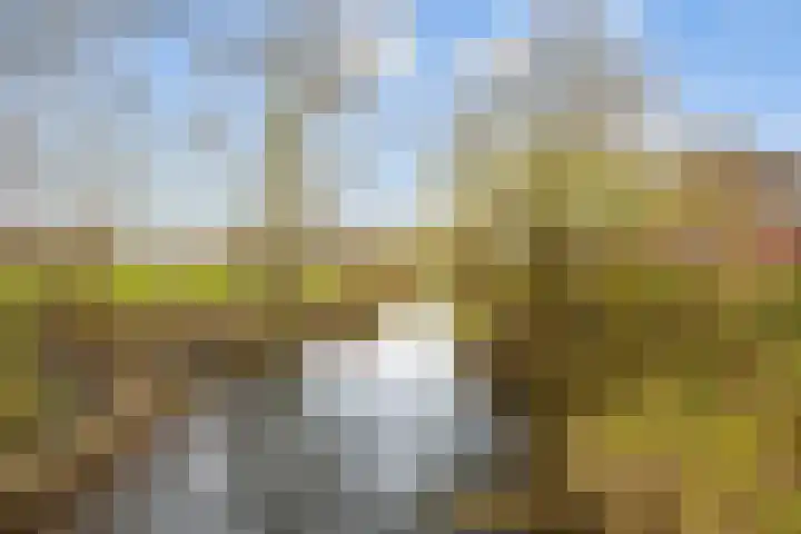 Houtzagerij 10 Winsum thumbnail 52