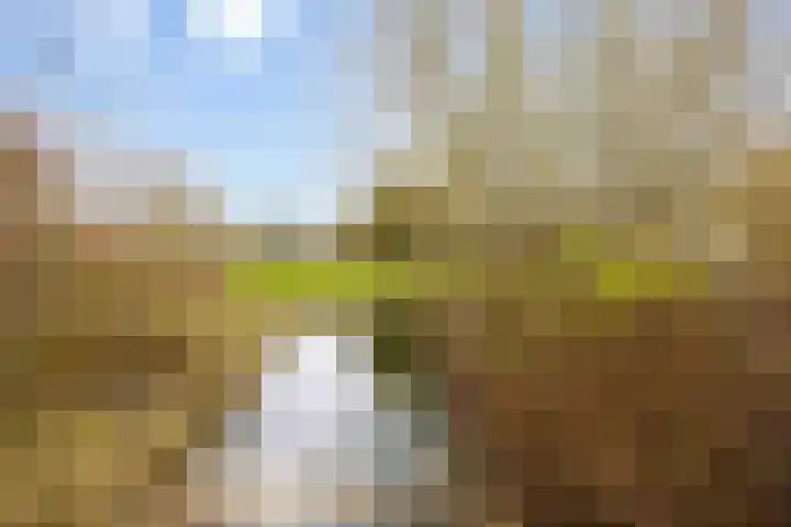 Houtzagerij 10 Winsum thumbnail 53