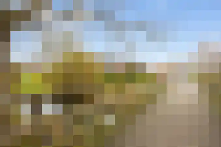 Houtzagerij 10 Winsum thumbnail 54