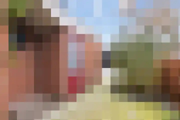 Houtzagerij 10 Winsum thumbnail 7