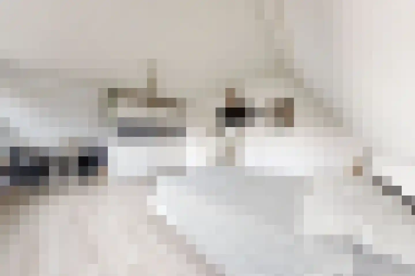 Houtzagerij 18 Klundert thumbnail 51