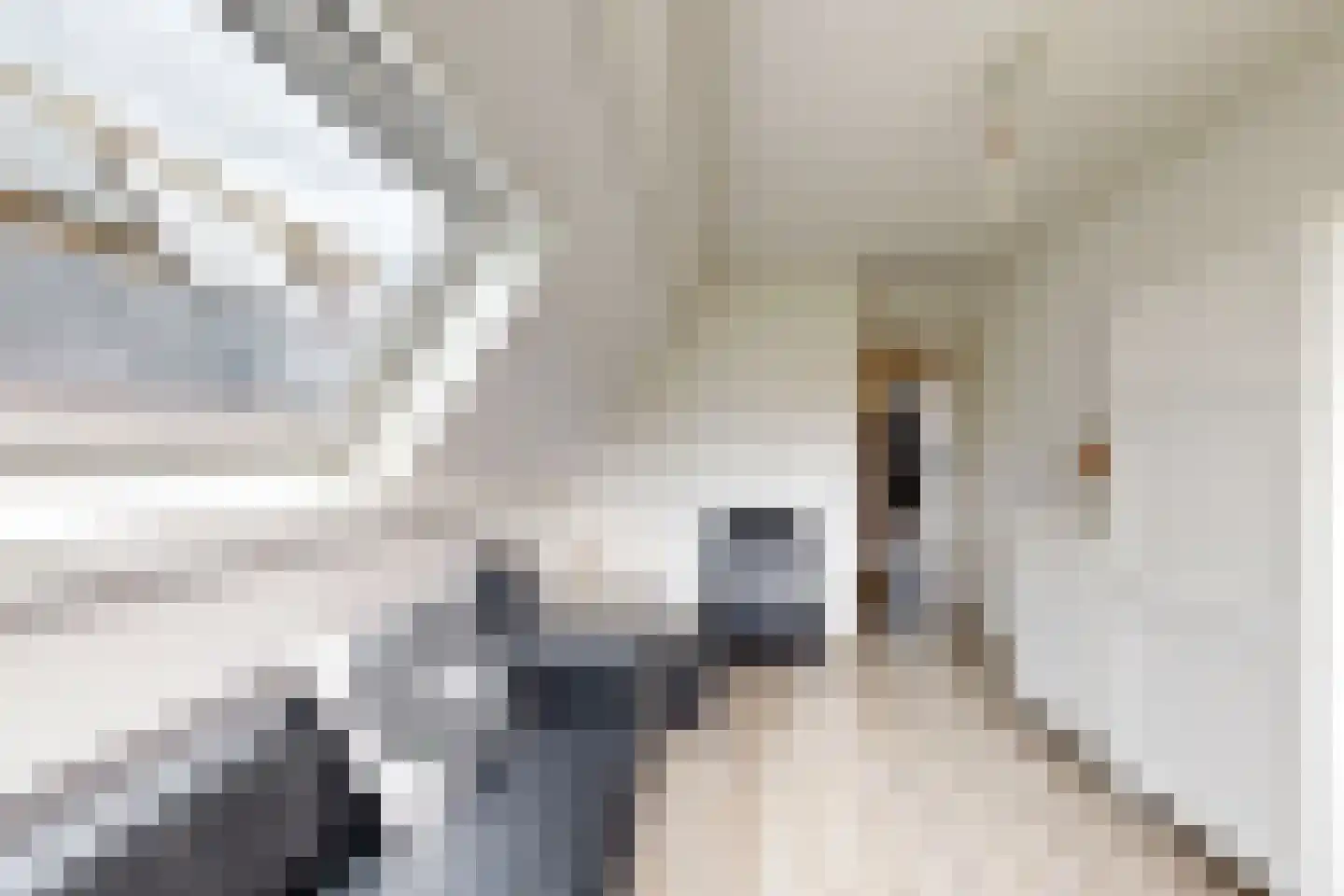 Houtzagerij 18 Klundert thumbnail 55