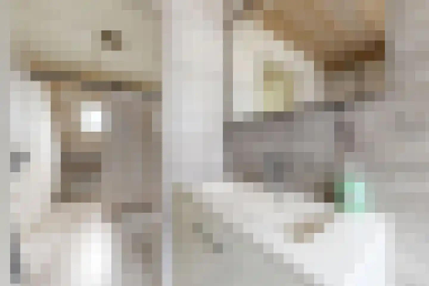 Houtzagerij 18 Klundert thumbnail 58
