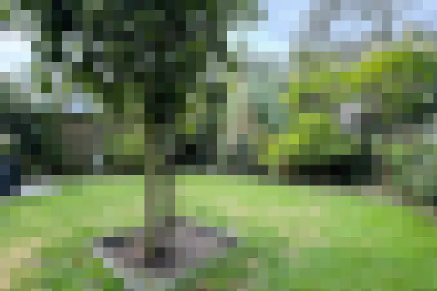 Houtzagerij 18 Klundert thumbnail 71