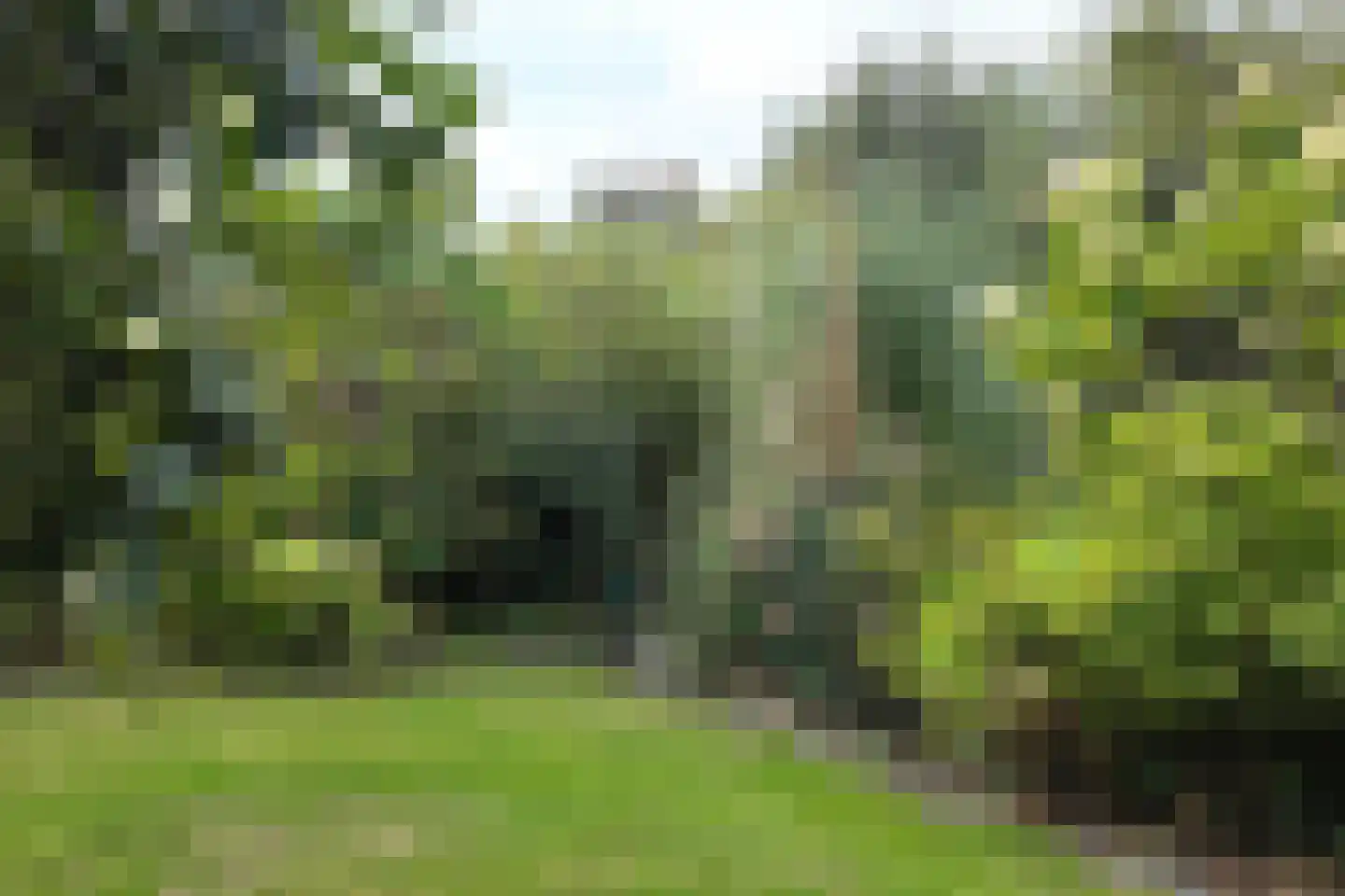 Houtzagerij 18 Klundert thumbnail 72