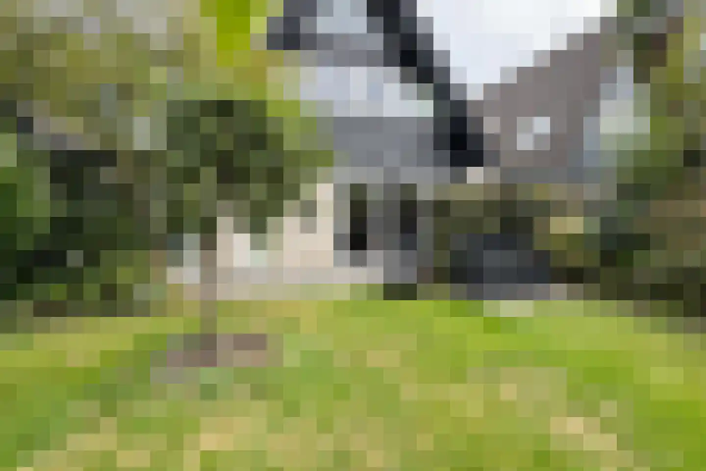 Houtzagerij 18 Klundert thumbnail 75