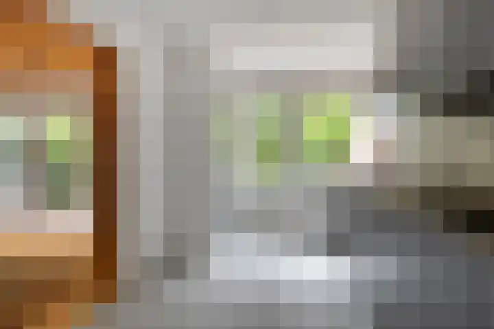 Houtzagerij 19 Klundert thumbnail 15