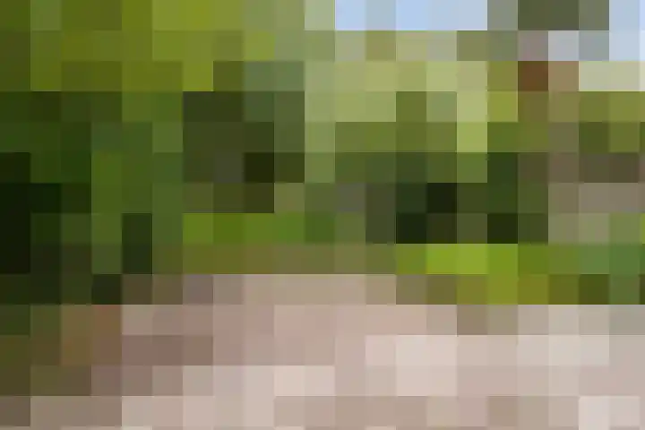 Houtzagerij 19 Klundert thumbnail 34