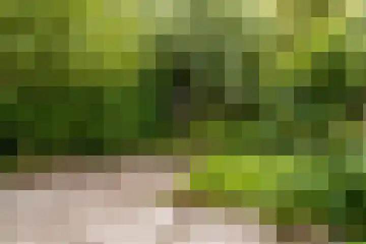 Houtzagerij 19 Klundert thumbnail 35
