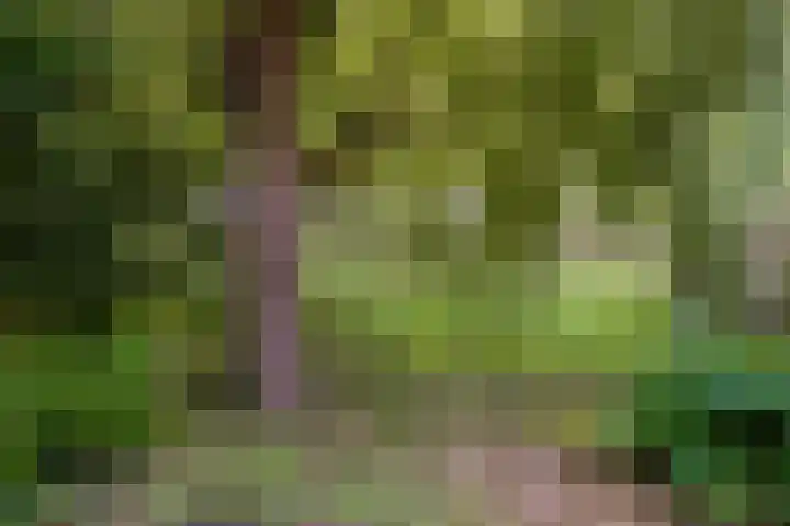 Houtzagerij 19 Klundert thumbnail 36