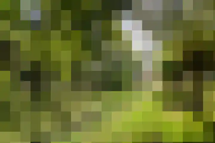 Houtzagerij 19 Klundert thumbnail 37
