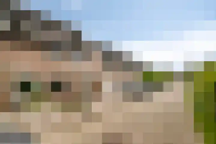 Houtzagerij 19 Klundert thumbnail 38
